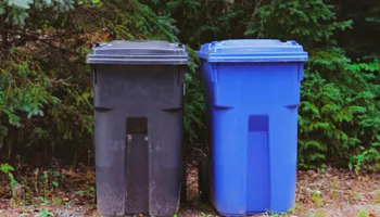 Junk Removal for Wavy Hauling and Junk Removal in Olympia, WA