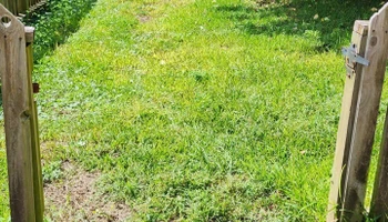 Mowing for Muddy Paws Landscaping in Columbia, SC