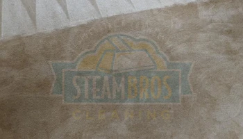Carpet Cleaning for Steam Bros LLC in Greensboro, NC