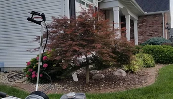 Home Softwash for Marten Pressure Washing in Litchfield, IL