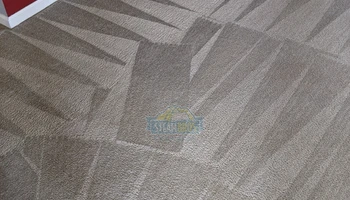 Carpet Cleaning for Steam Bros LLC in Greensboro, NC