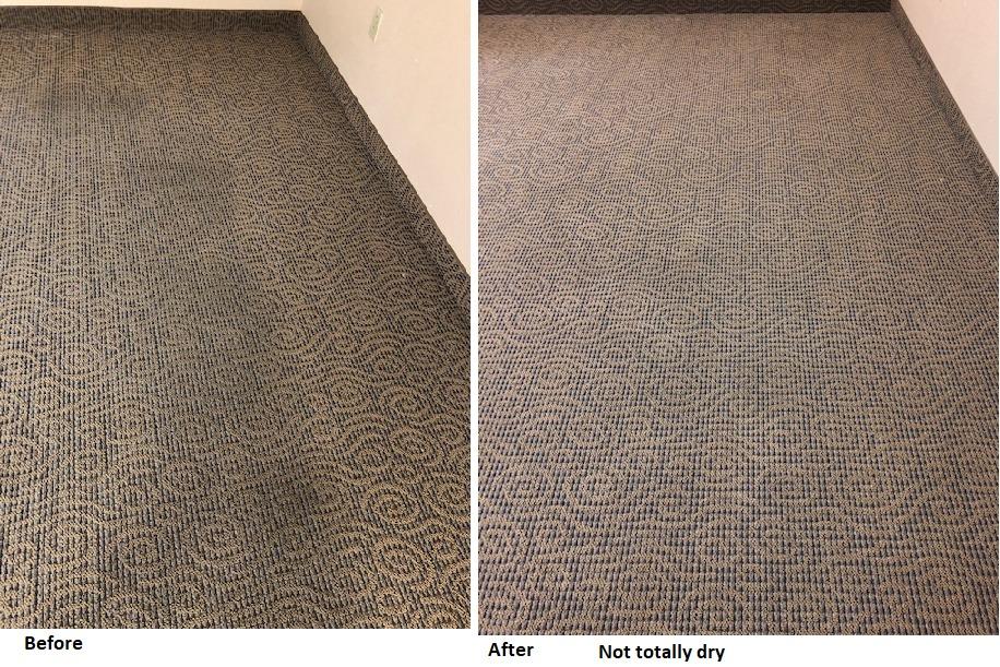 Carpet Cleaning company TLC Carpet & Tile Cleaners in Surprise, Arizona