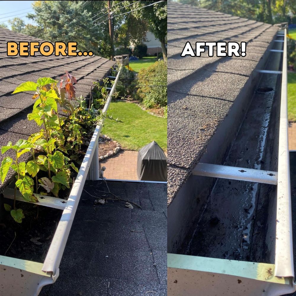 Before and after exterior cleaning in Greater Lansing