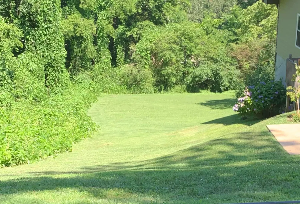 cover-photo