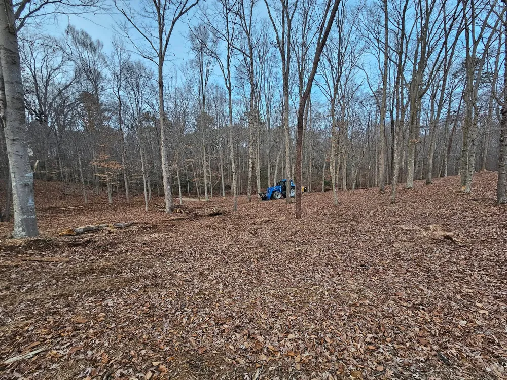 cover-photo