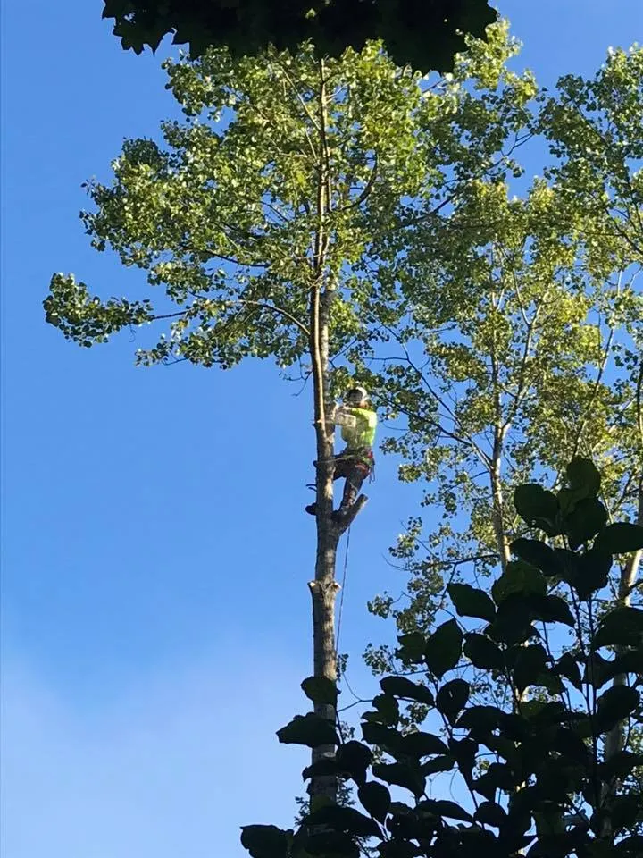 cover-photo
