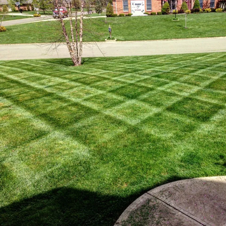 Mow and Go team in Syracuse, NY