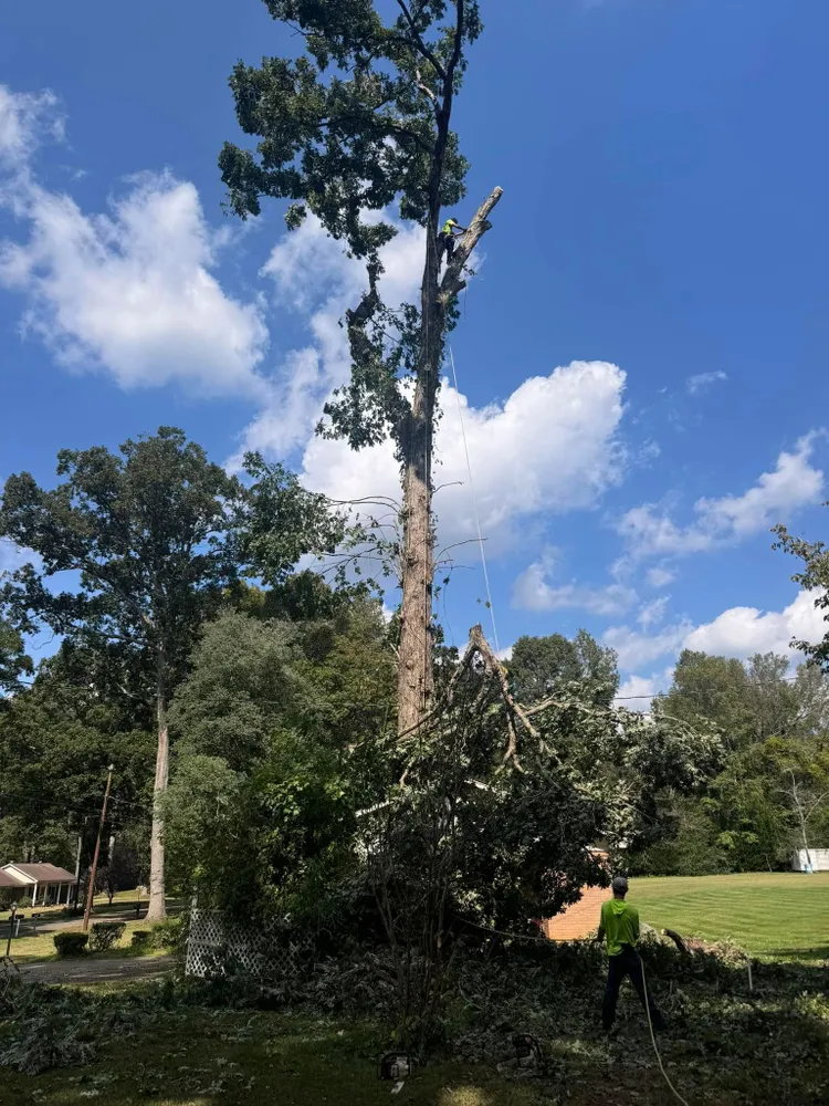 cover-photo