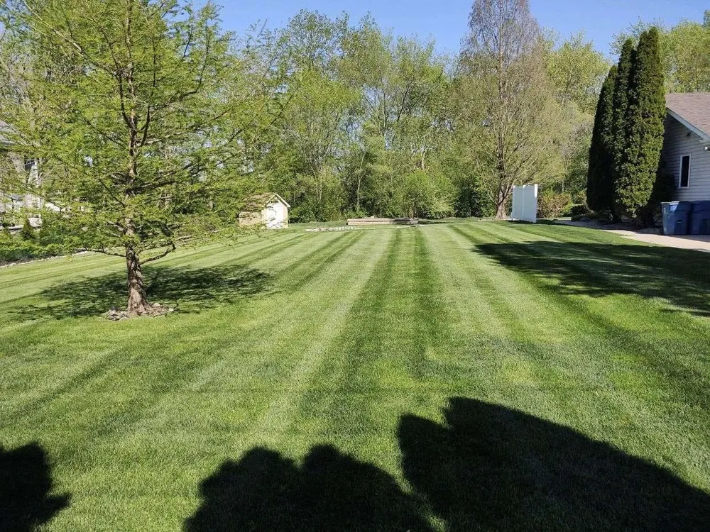cover-photo