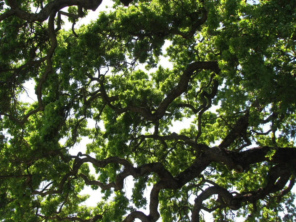 cover-photo