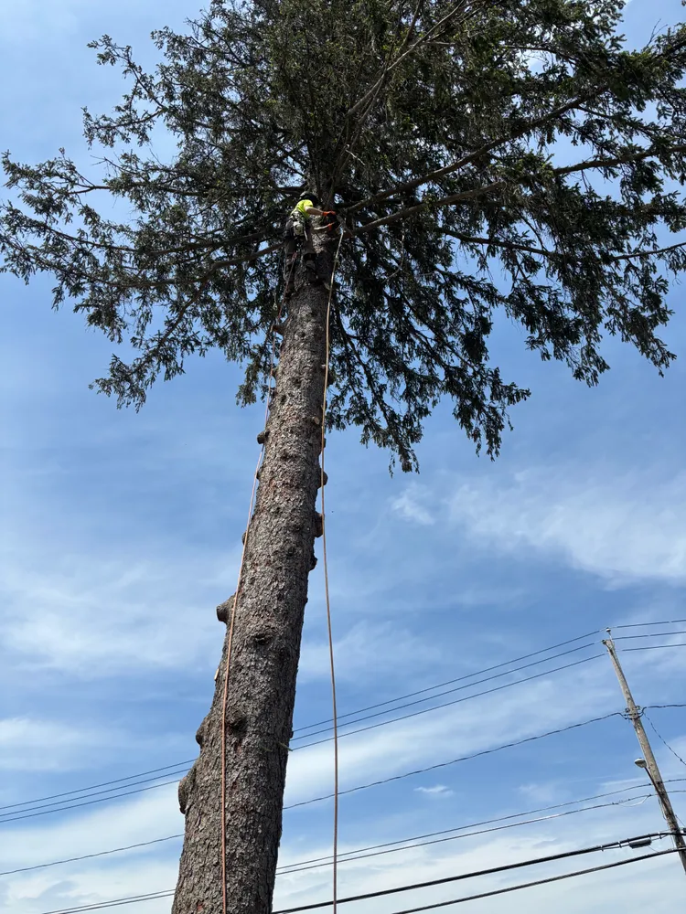 cover-photo