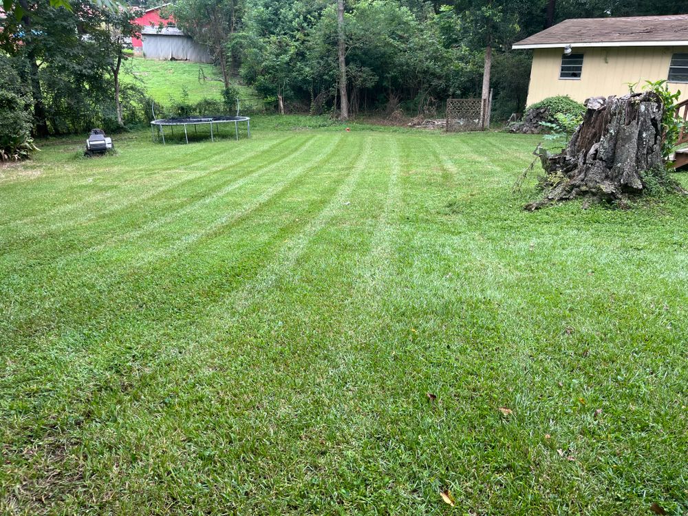 Lawn Care for All-Star Lawn Care & Soft Washing in Mobile, AL