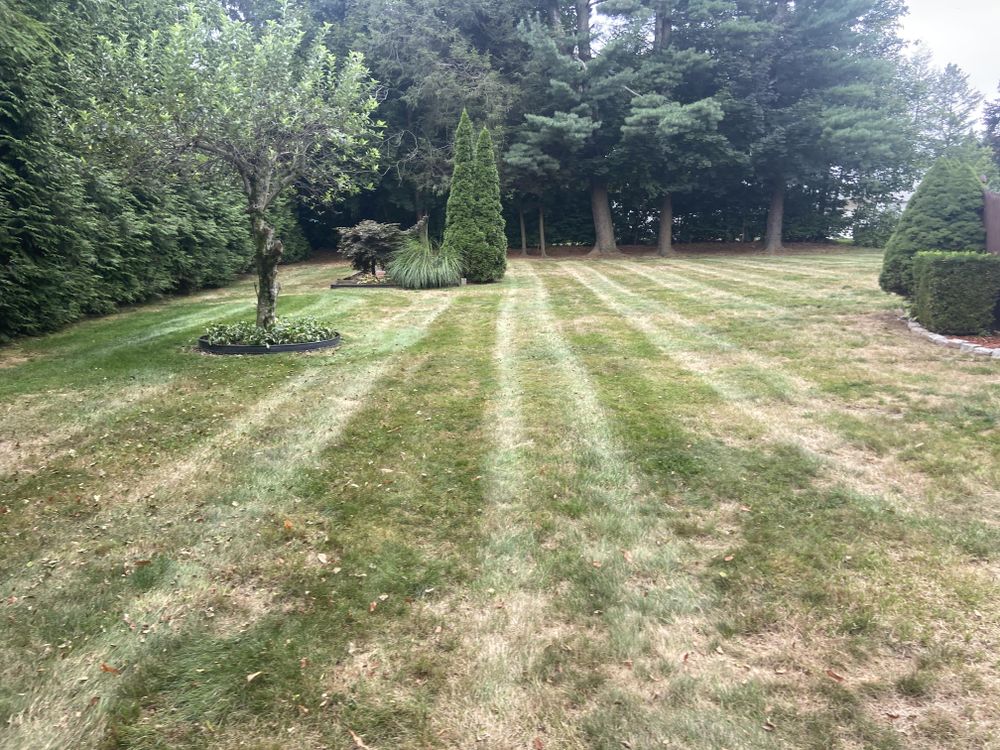 Lawn Maintenance  for Ace Landscaping in Trumbull, CT