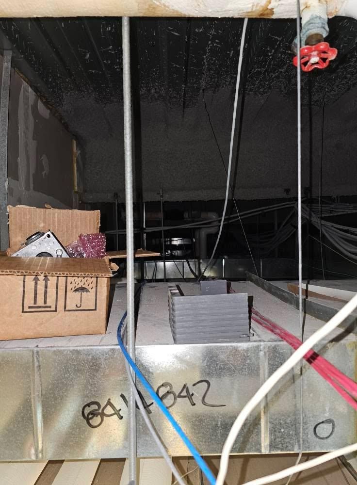 All Photos for The Painter in Citrus Heights, CA