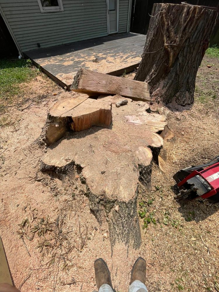 Tree Removal for Jace’s Tree & Stump Removal in Franklin, TN