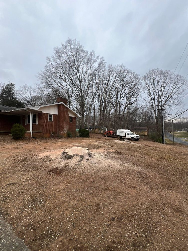 All Photos for Brooks Tree Service in Casar, NC