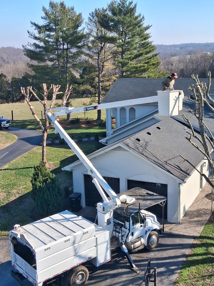 All Photos for Optimum Tree Service And Landscaping in Bowling Green, KY