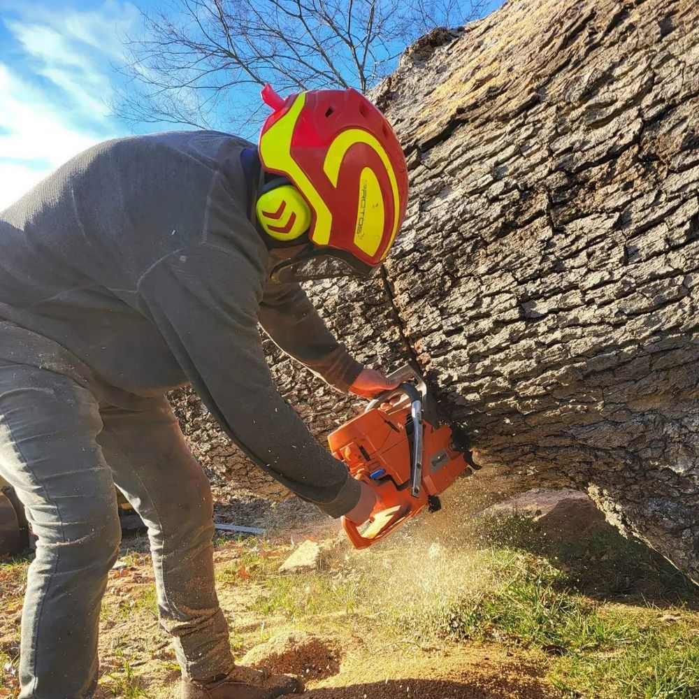 All Photos for Smith Tree Experts in Palmyra, VA