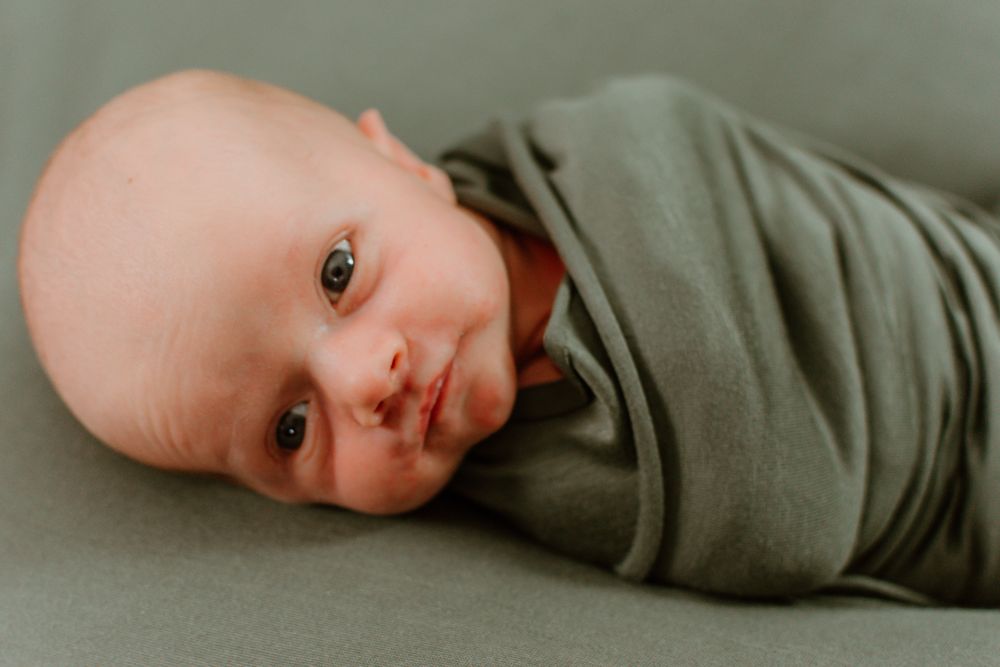 All Photos for BB Photography in Fredericktown, PA