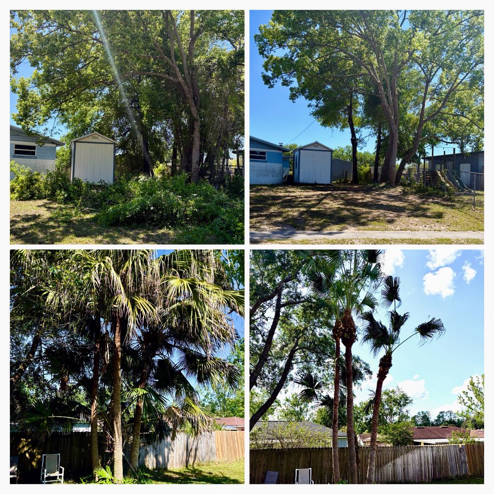 All Photos for Top Notch Tree Experts in Orange Park, FL