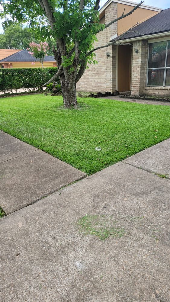 Lawn Care for T.W. Lawn Care in Pearland, TX