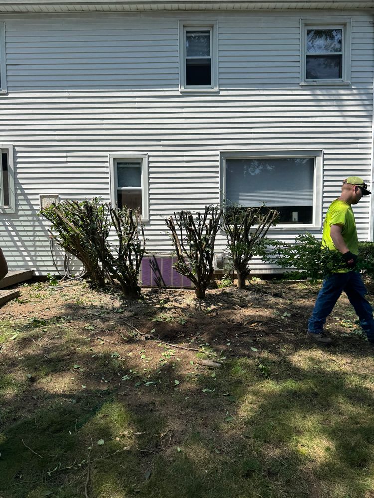 All Photos for Adams Landscaping in Springfield, MA