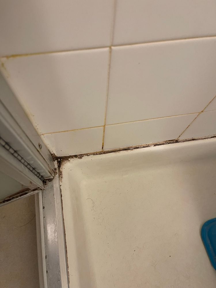 All Photos for Tony's Remodeling & Painting in Renton, WA