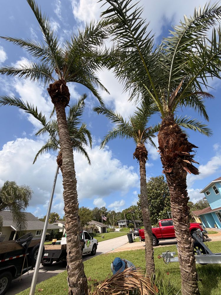 All Photos for Vanic's Landscaping in Port Orange, FL