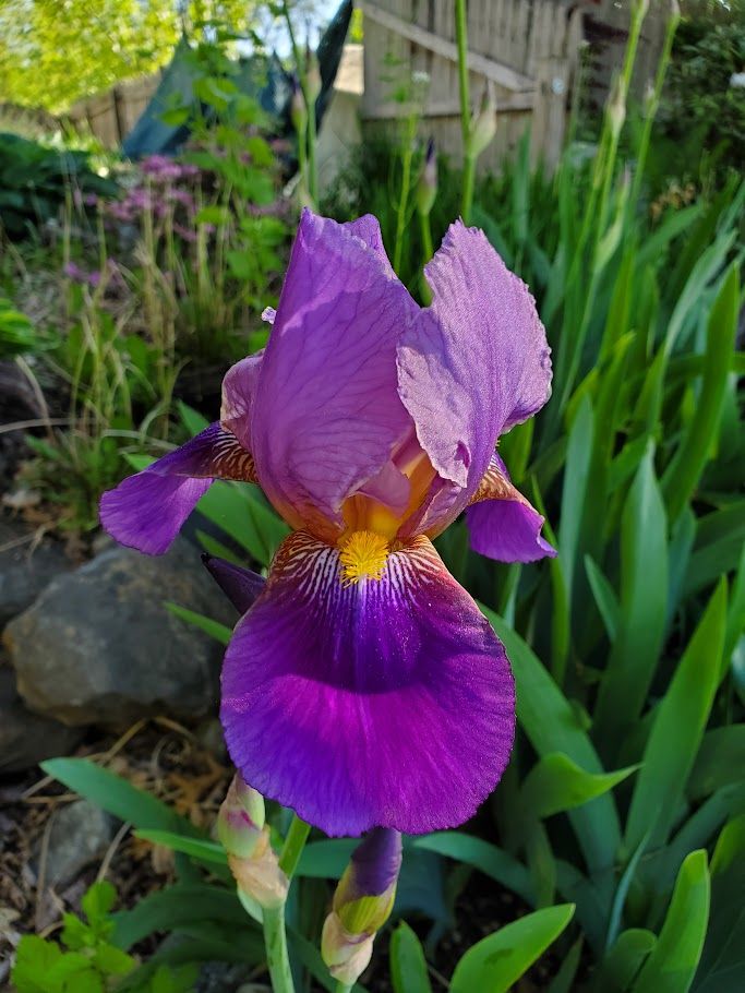 All Photos for Evolution Earthscapes, LLC in Ludlow, MA