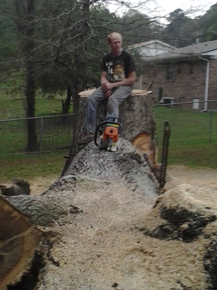 Tree Services for Wofford's Grading Clearing and Landscaping in Milton, GA