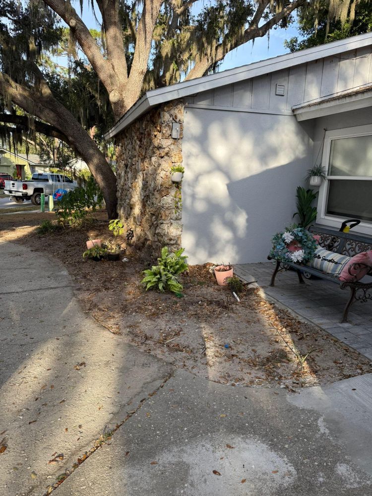 All Photos for Damian’s Tree Care in Sarasota, FL