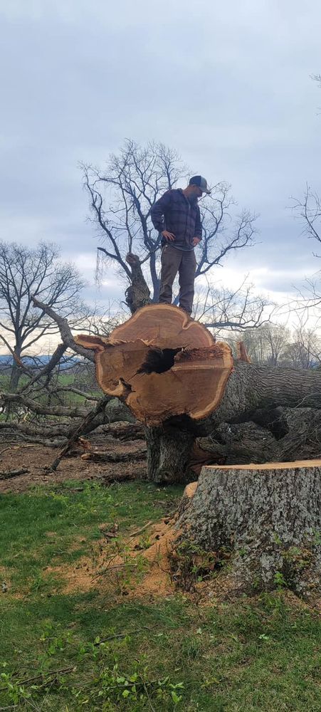 All Photos for Great American Landworks  in Morrison, TN