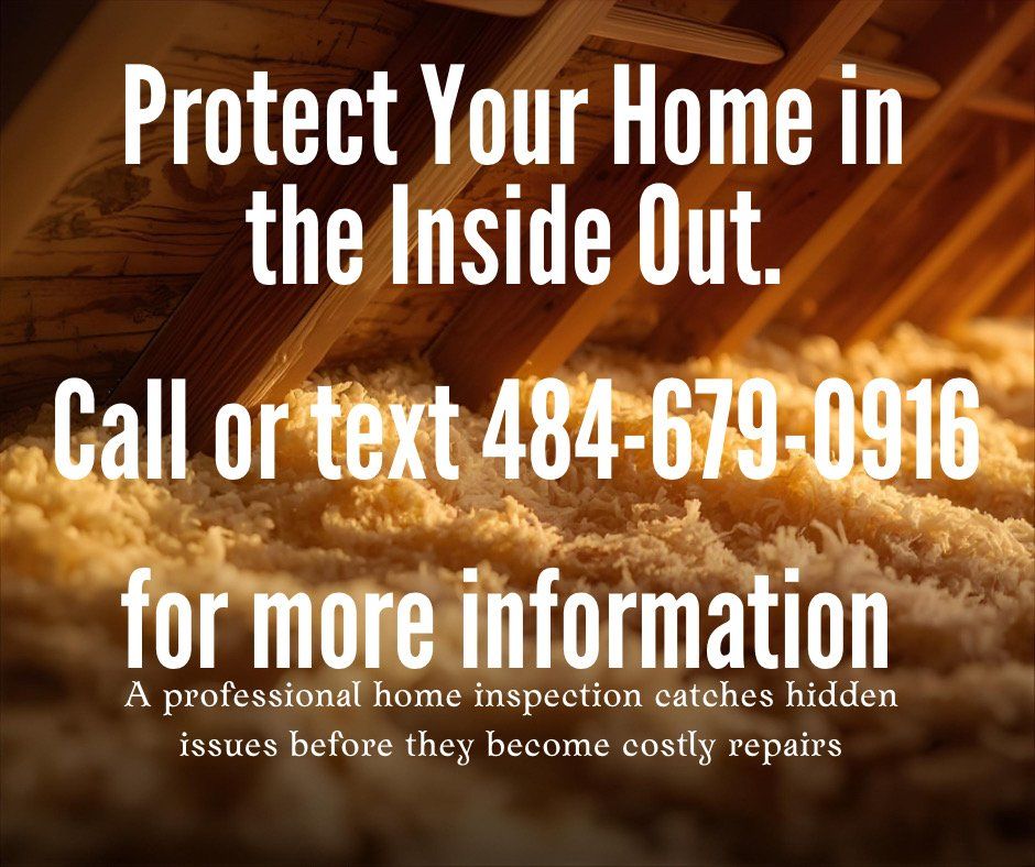 Pest Control for Pest Control Management in Montgomery County, PA