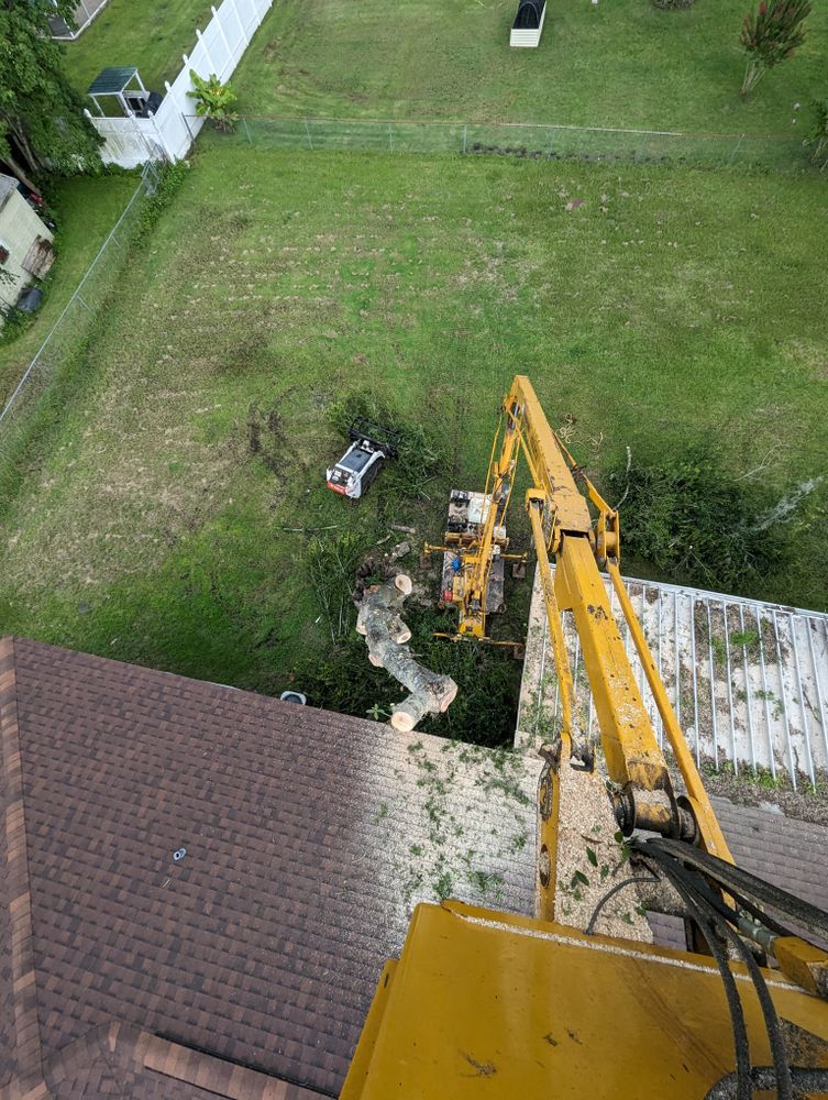All Photos for Regal Tree Service and Stump Grinding in Wauchula, FL