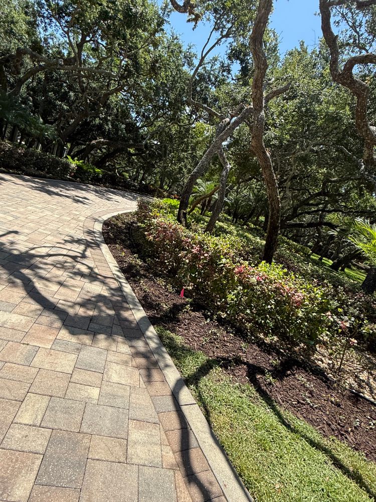All Photos for Vanic's Landscaping in South Daytona, FL