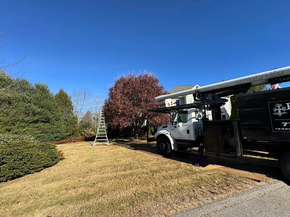 Tree Removal for Redemption Tree & Landscape LLC  in Oakham, MA