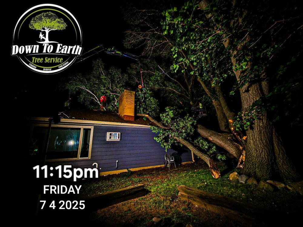 All Photos for Down To Earth Tree Service in Red Wing, MN