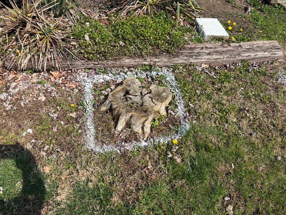 All Photos for Conrad's Stump Removal in Columbus, IN