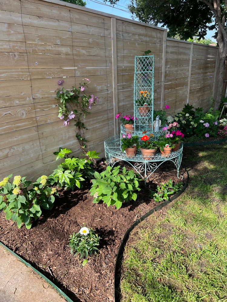 All Photos for Cortez Landscaping Services in Mesquite, TX