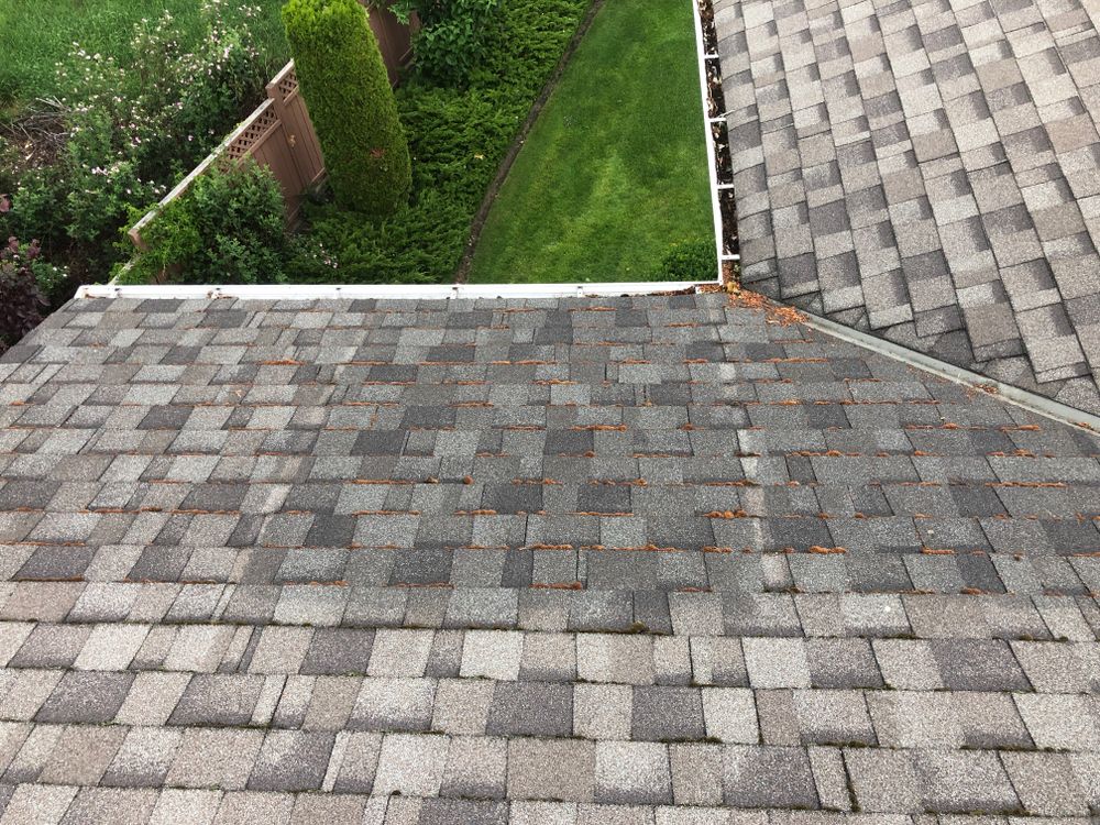 Roof Rejuvenation for Roof Rejuvenate Northwest Indiana in Lake County, IN