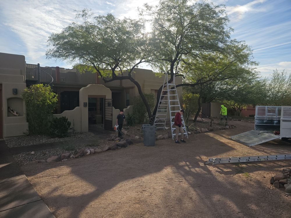 All Photos for T's Tree Service and Firewood in Apache Junction, AZ