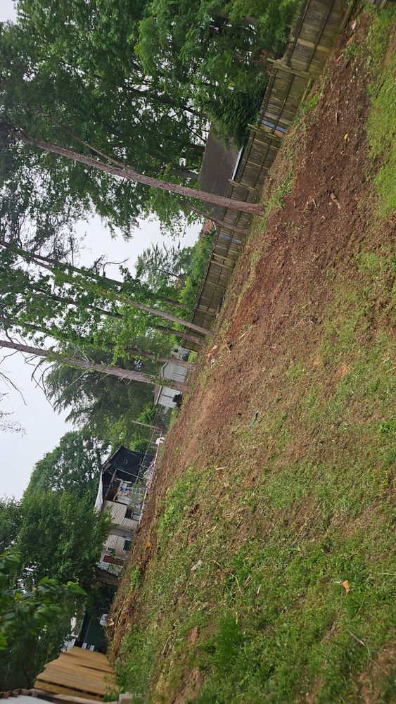 All Photos for Sasquatch Tree Services LLC in Spartanburg, SC