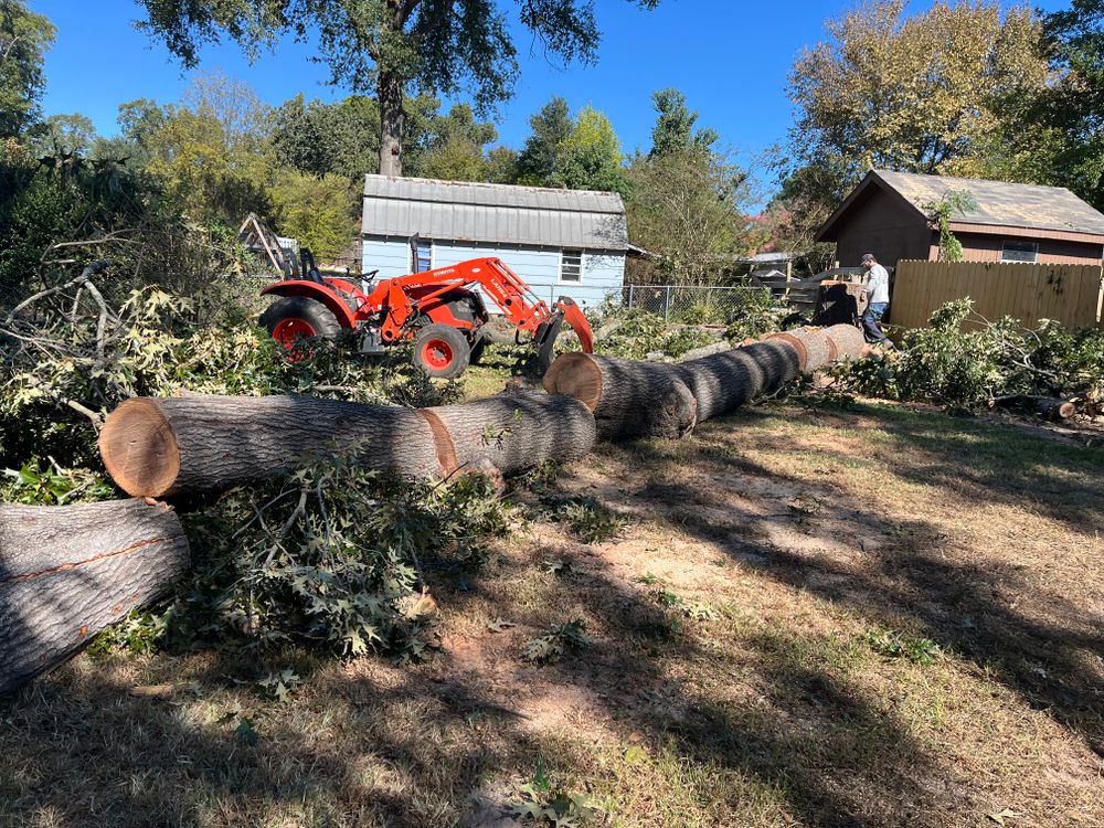 All Photos for JC Land and Tree Service in Kilgore, TX