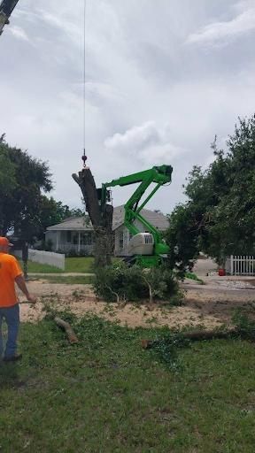 All Photos for Daniel Hickey’s Tree Service in DeLand, FL