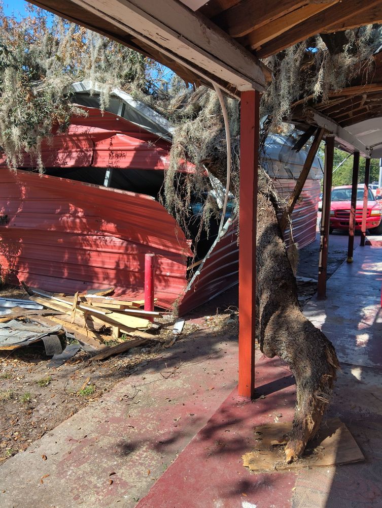 Tree Removal for Bills Tree Service in Valrico, FL