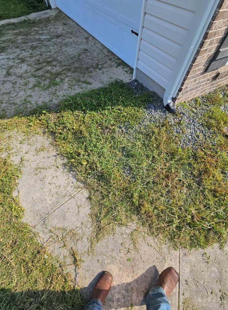 All Photos for Southern Shade Property Service in Ray City, GA