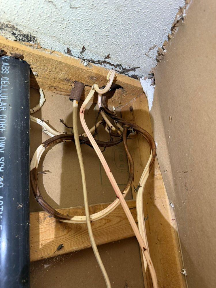 All Photos for Momos Construction in Piney Flats, TN