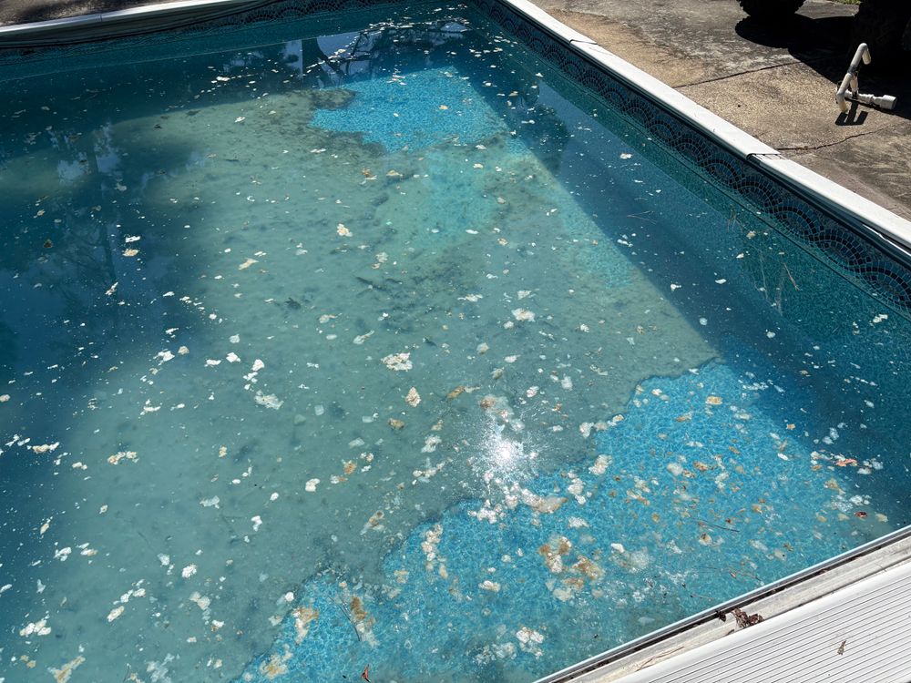 All Photos for Pool Services of Wilmington in Wilmington, NC