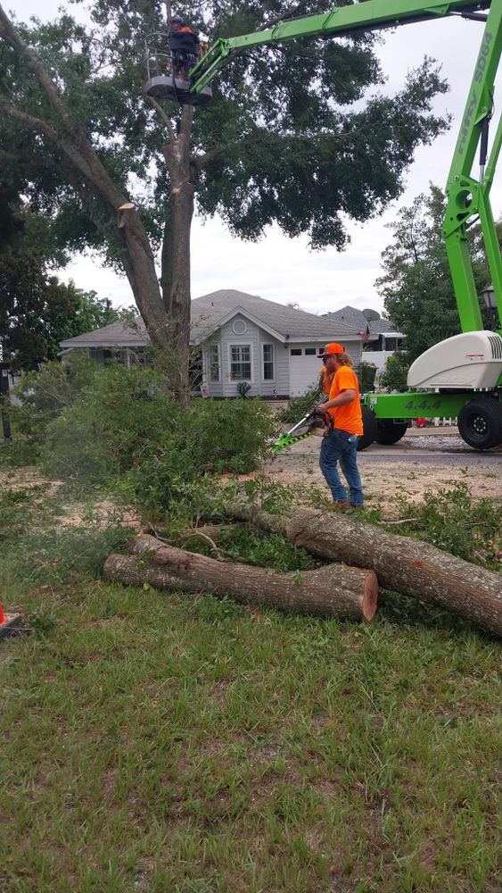 All Photos for Daniel Hickey’s Tree Service in DeLand, FL