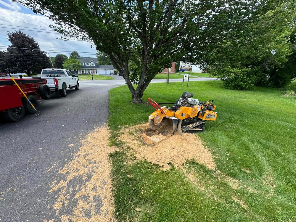 Tree Removal for Beckenbaugh Tree & Lawn Service in Lewistown, PA